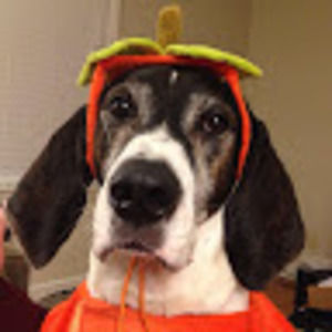 Meet your Posher, Jacob